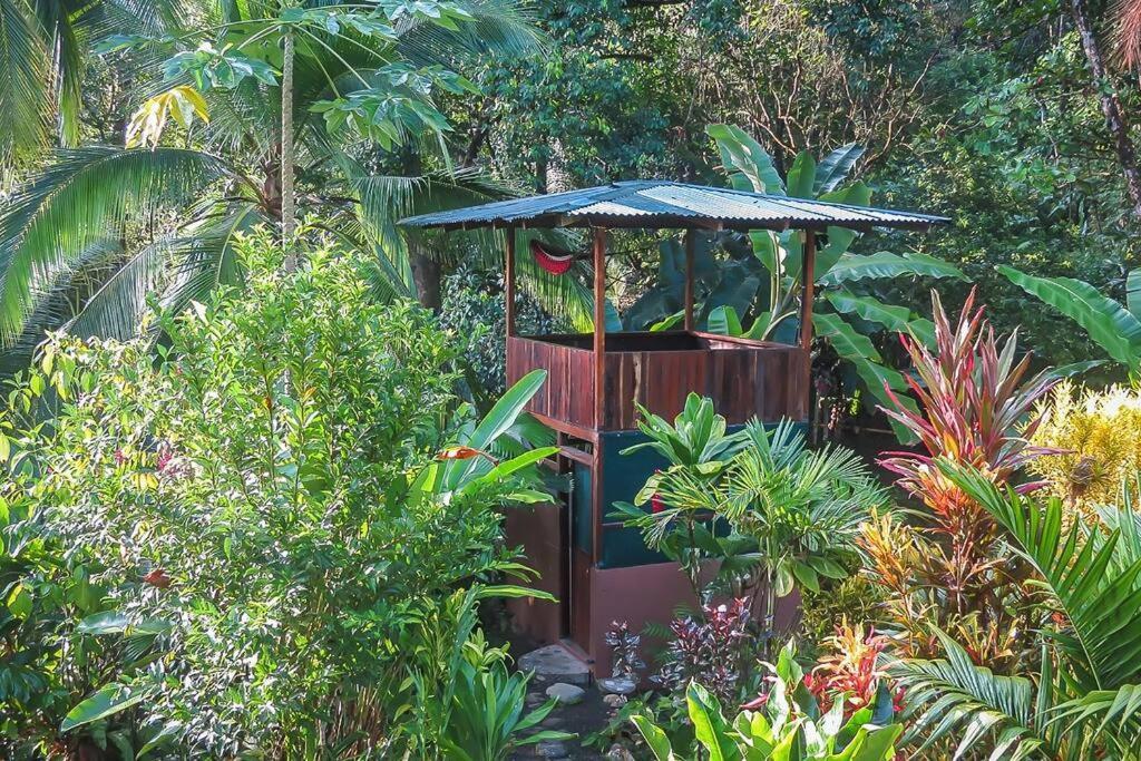 Villa Casa Aire Libre à Puerto Jiménez Extérieur photo