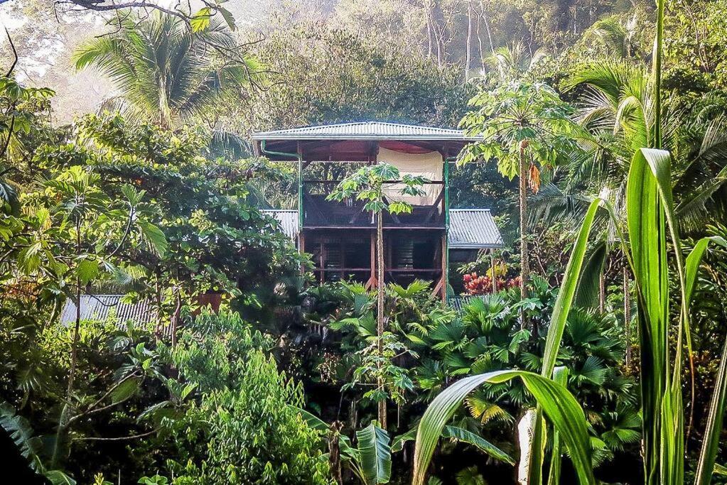 Villa Casa Aire Libre à Puerto Jiménez Extérieur photo