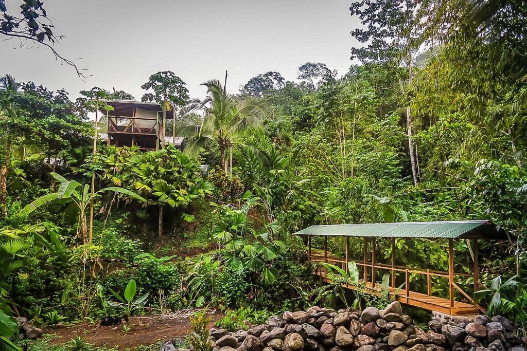 Villa Casa Aire Libre à Puerto Jiménez Extérieur photo
